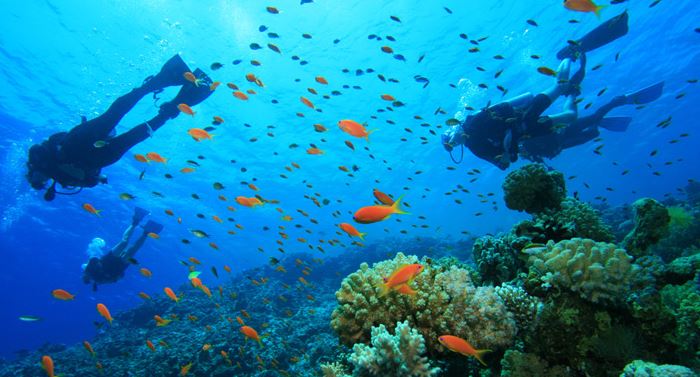 diving in samui
